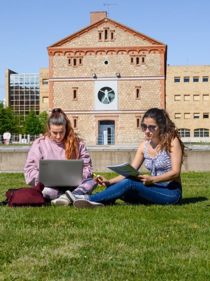 Explore Scholarships To Study In Spain