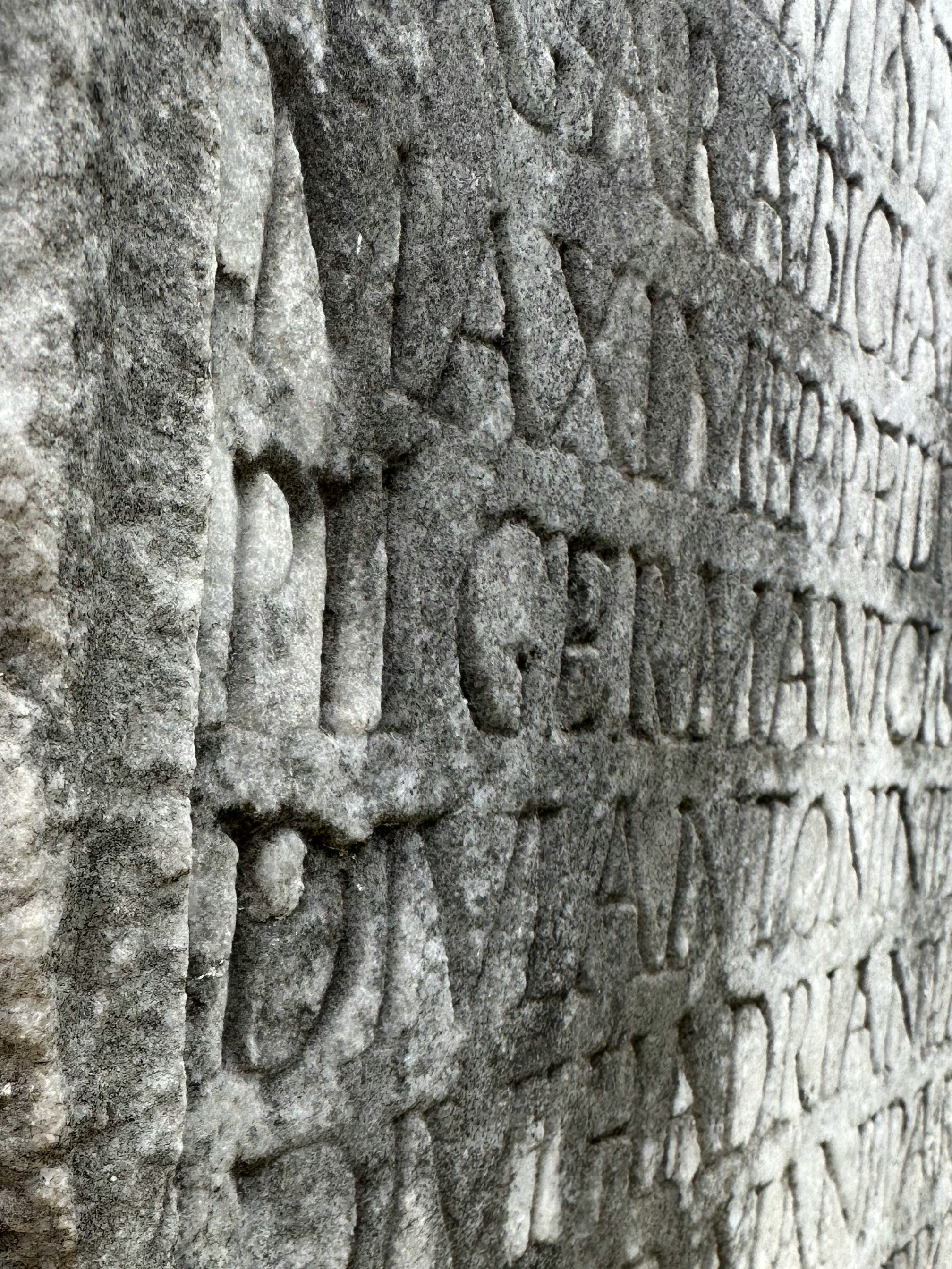 10 Ancient Words We Still Use Today