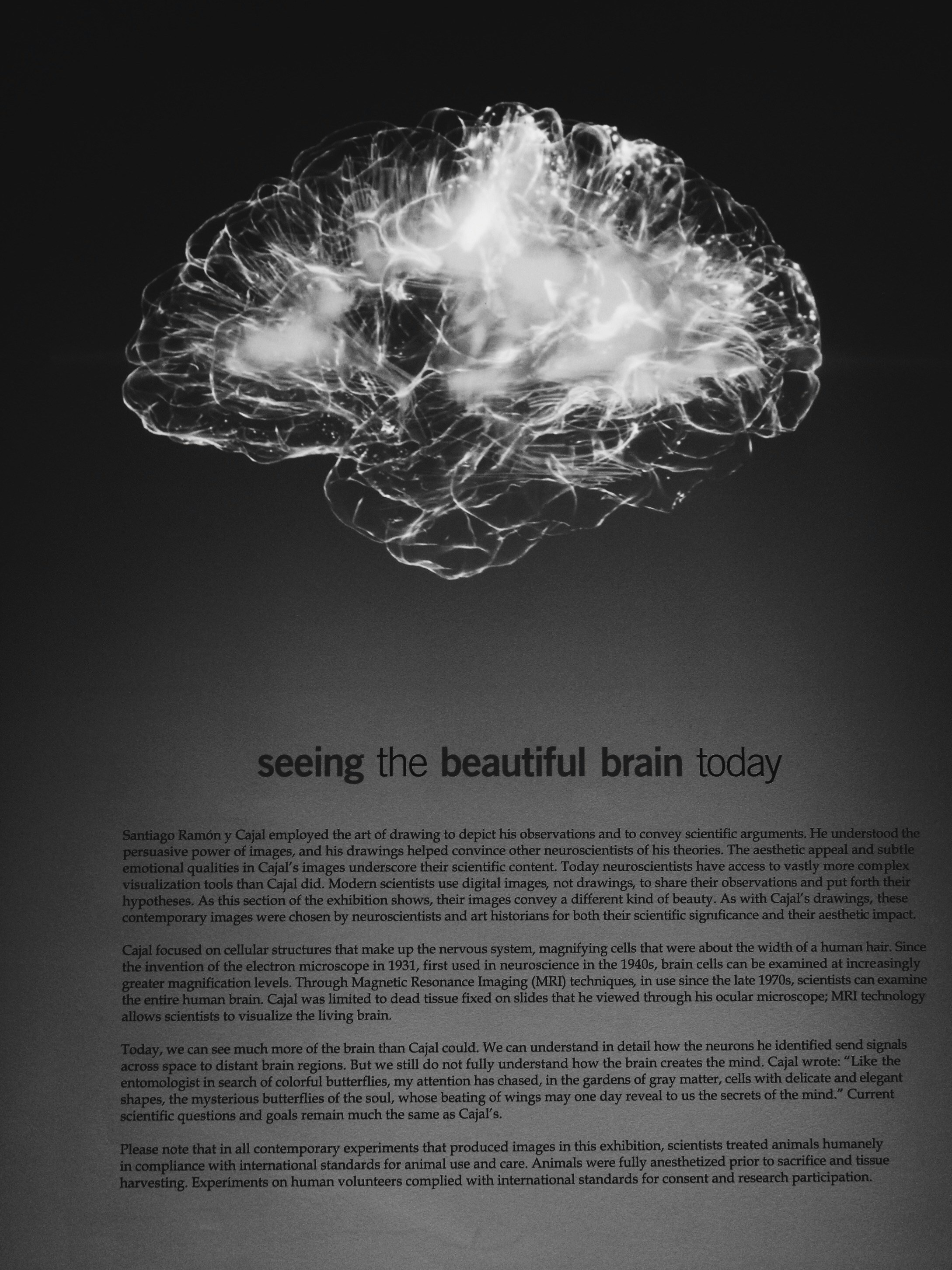 6 Brain Tricks To Remember What You Study