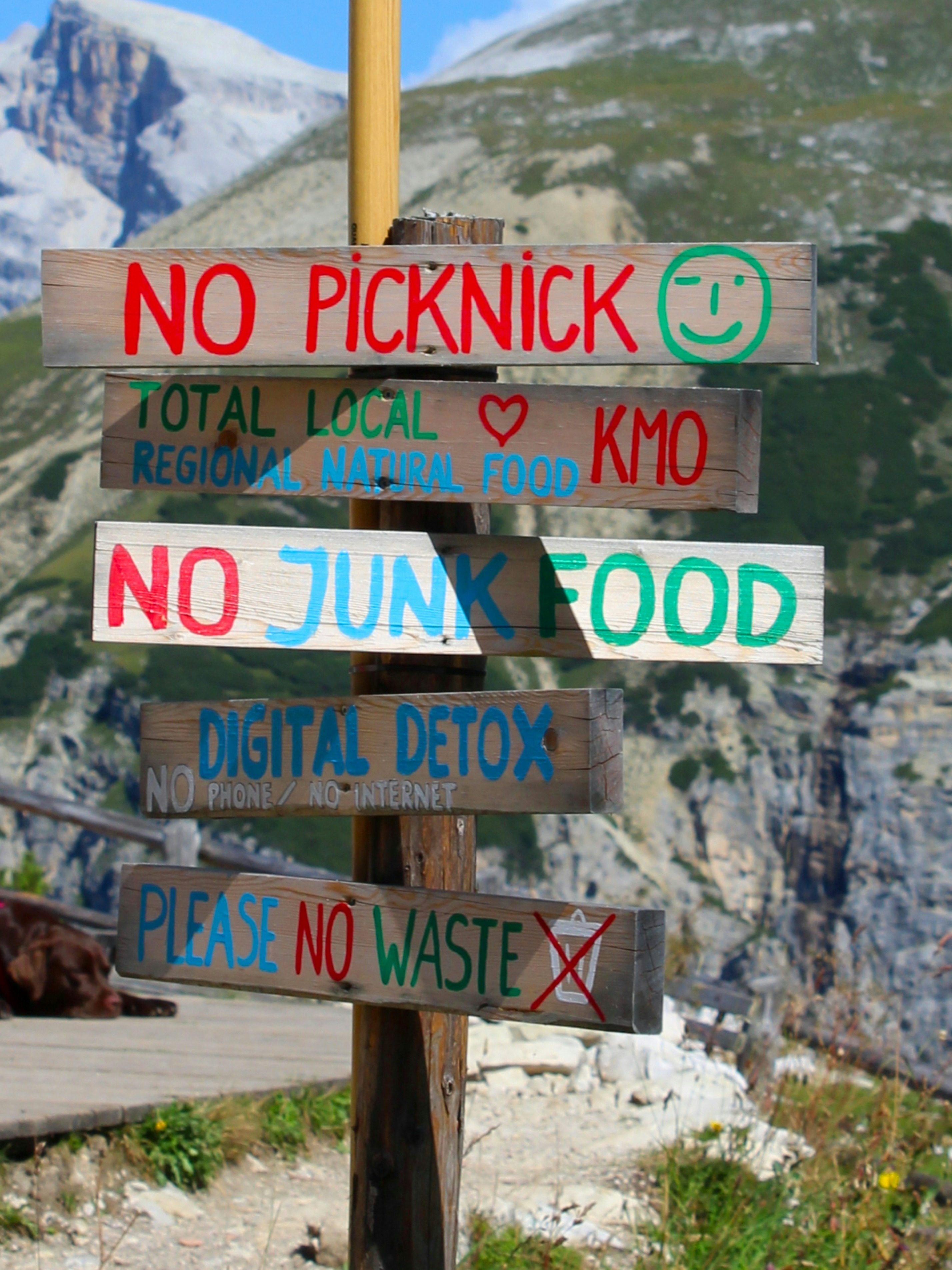 Digital Detox For Students: Study Without Scrolling