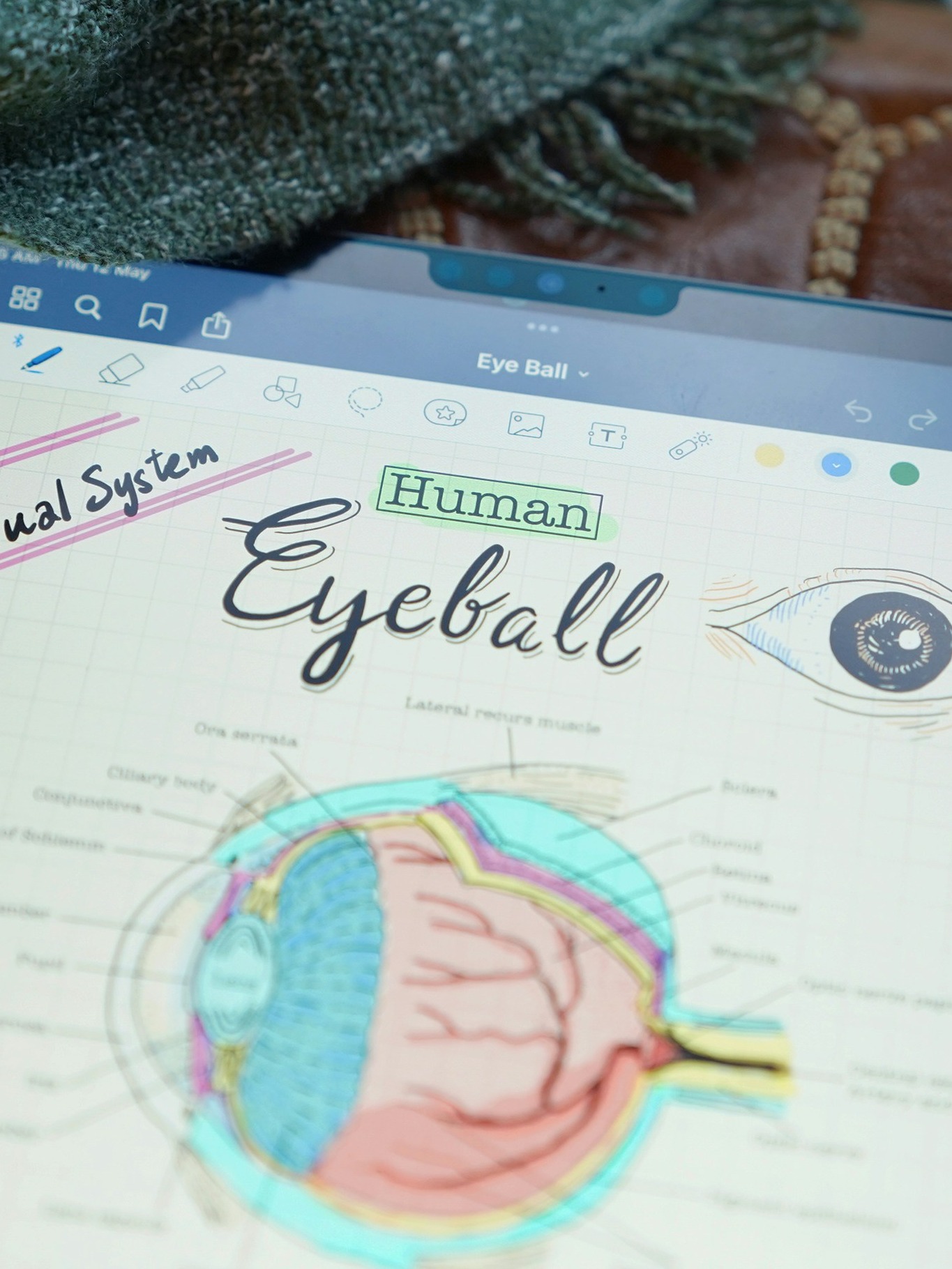 Digital Notes vs Handwritten Notes: Which Is Better?