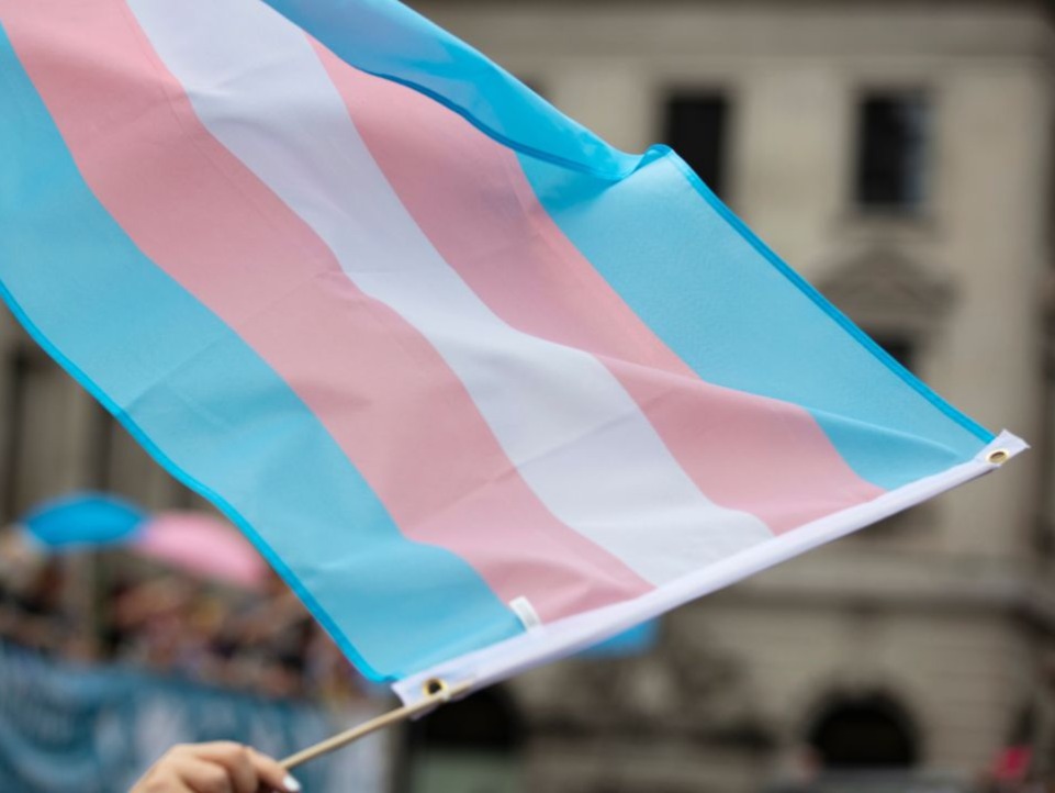 Cambridge Dictionary Includes Trans People In Gender Definitions cambridge-dictionary-includes-trans-people-in-gender-definitions