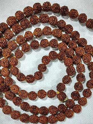 Mujad Raksha जानें क्या है रुद्राक्ष का महत्व