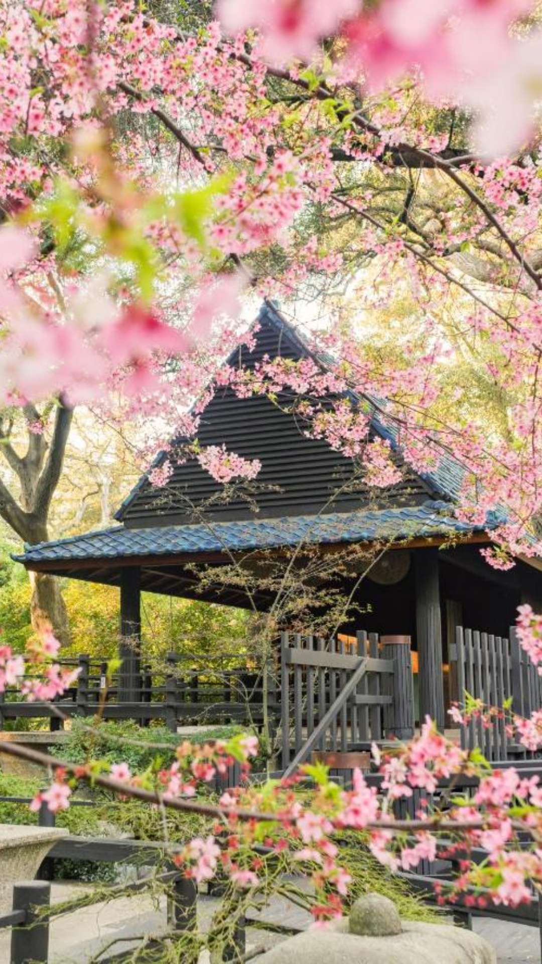 best-places-to-visit-in-pasadena-ca