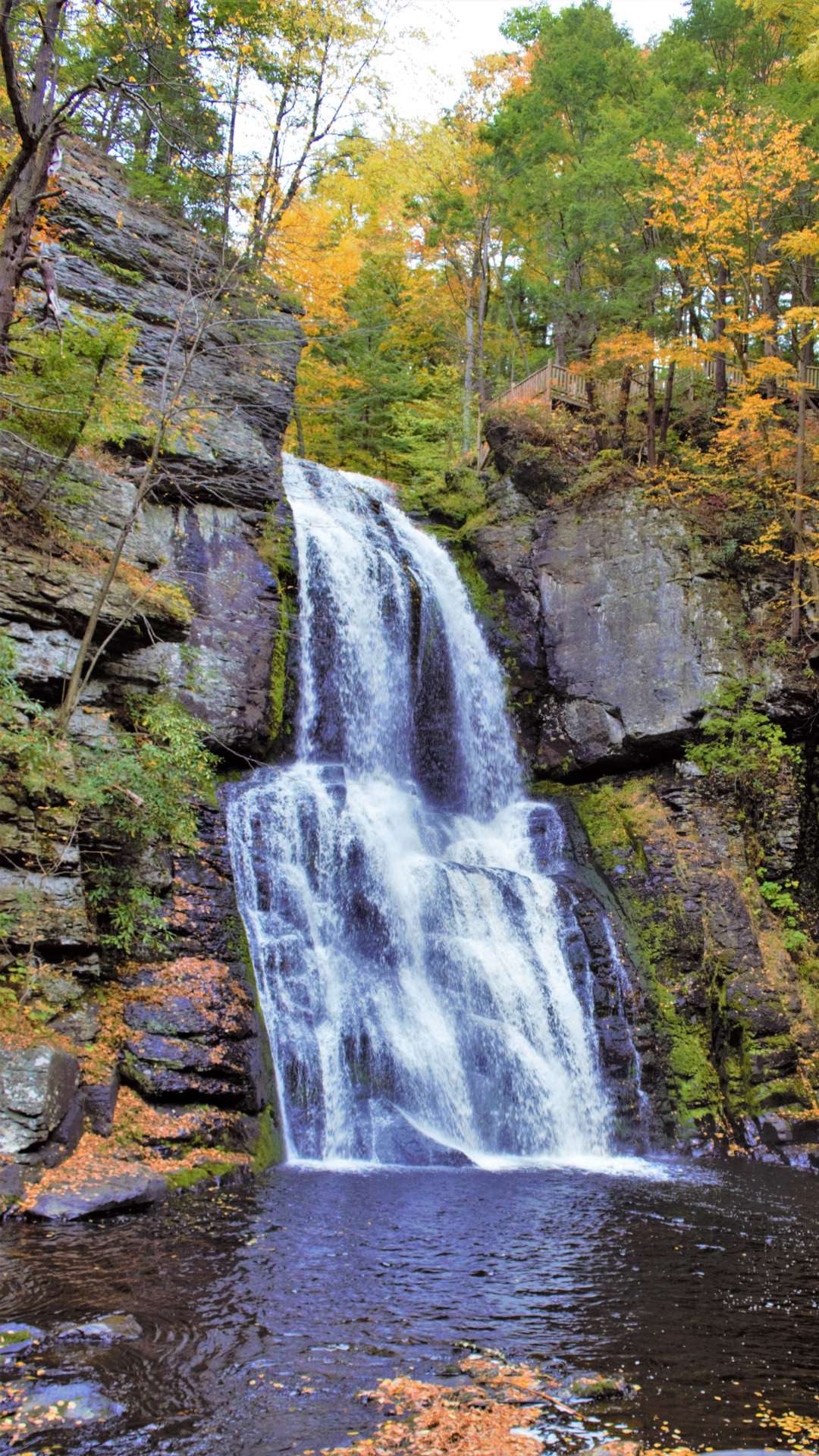 Best Places To Visit In The Poconos