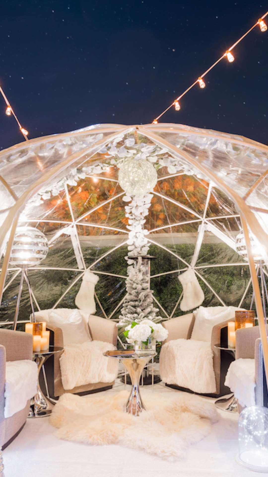 Best Restaurants In North Dakota