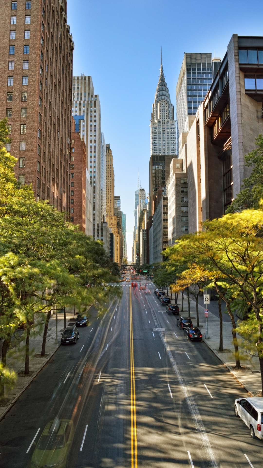 Places To Visit For Thanksgiving In NYC