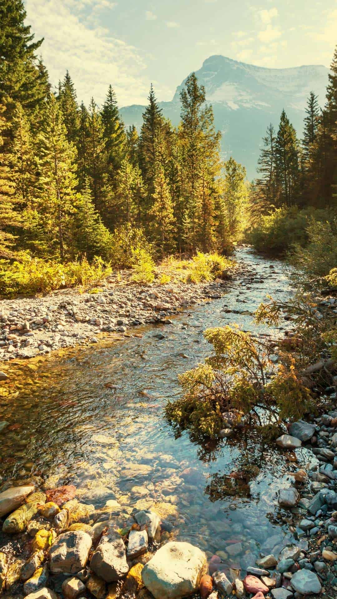 Top Attractions To Visit In Billings, MT