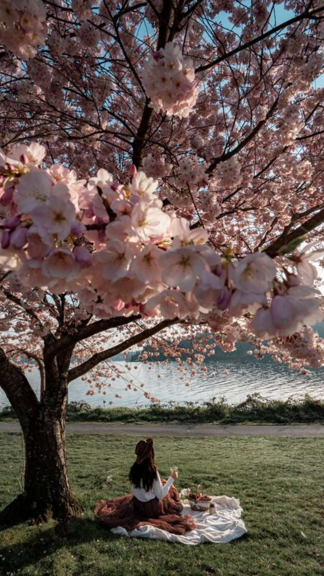 Best Parks In Newark, NJ