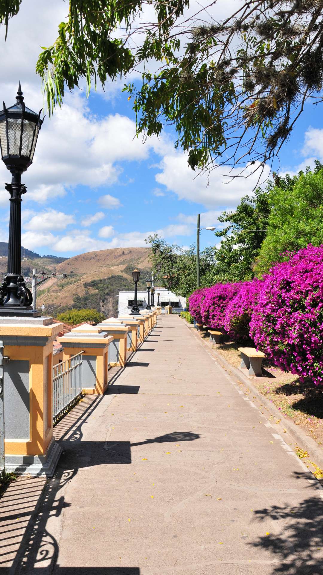 Best Places To Visit In Honduras