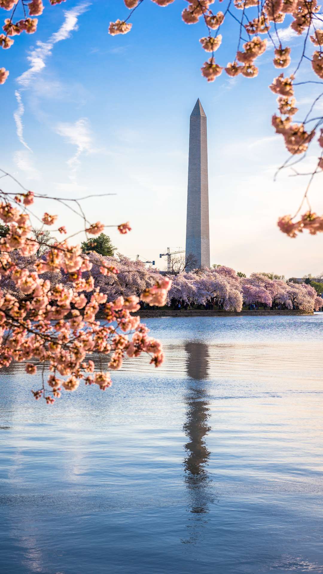 Best Places To Visit In The USA In March