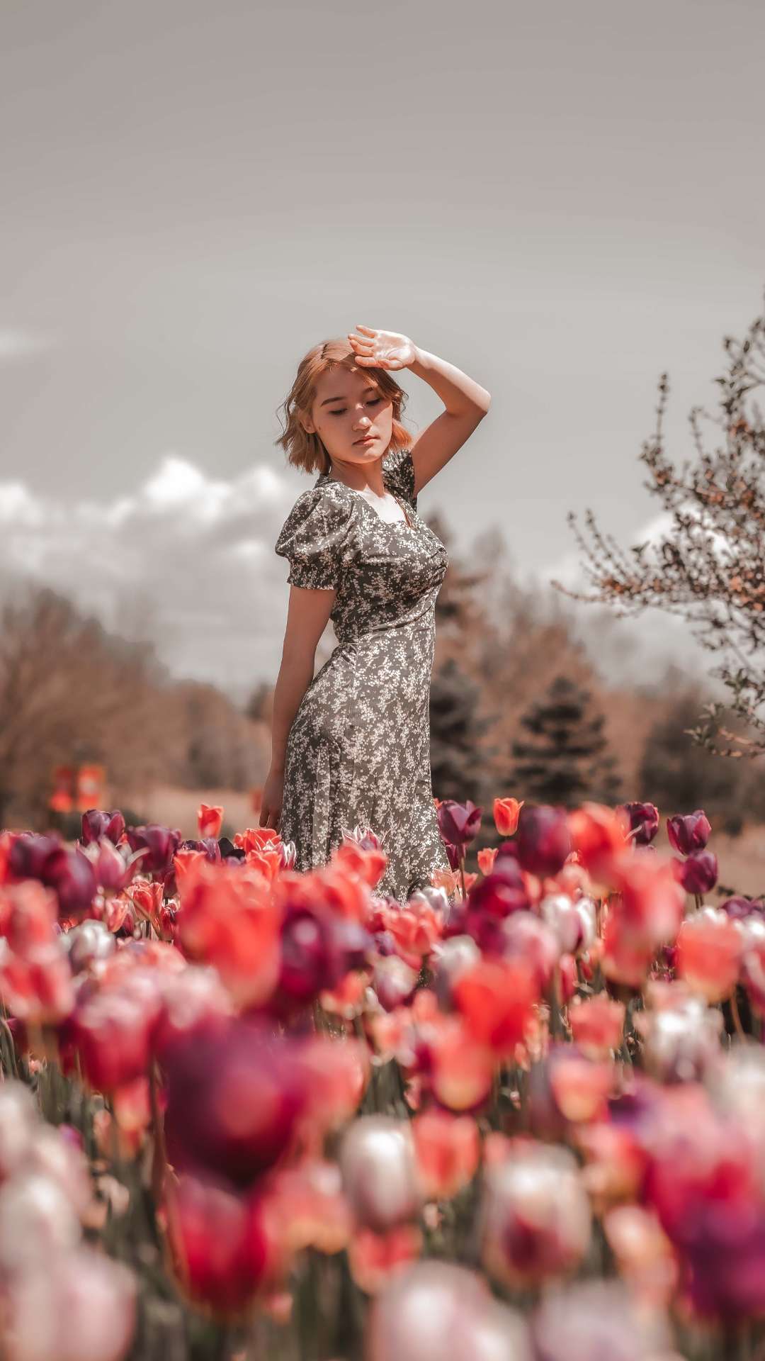 Beautiful Flower Fields In The USA