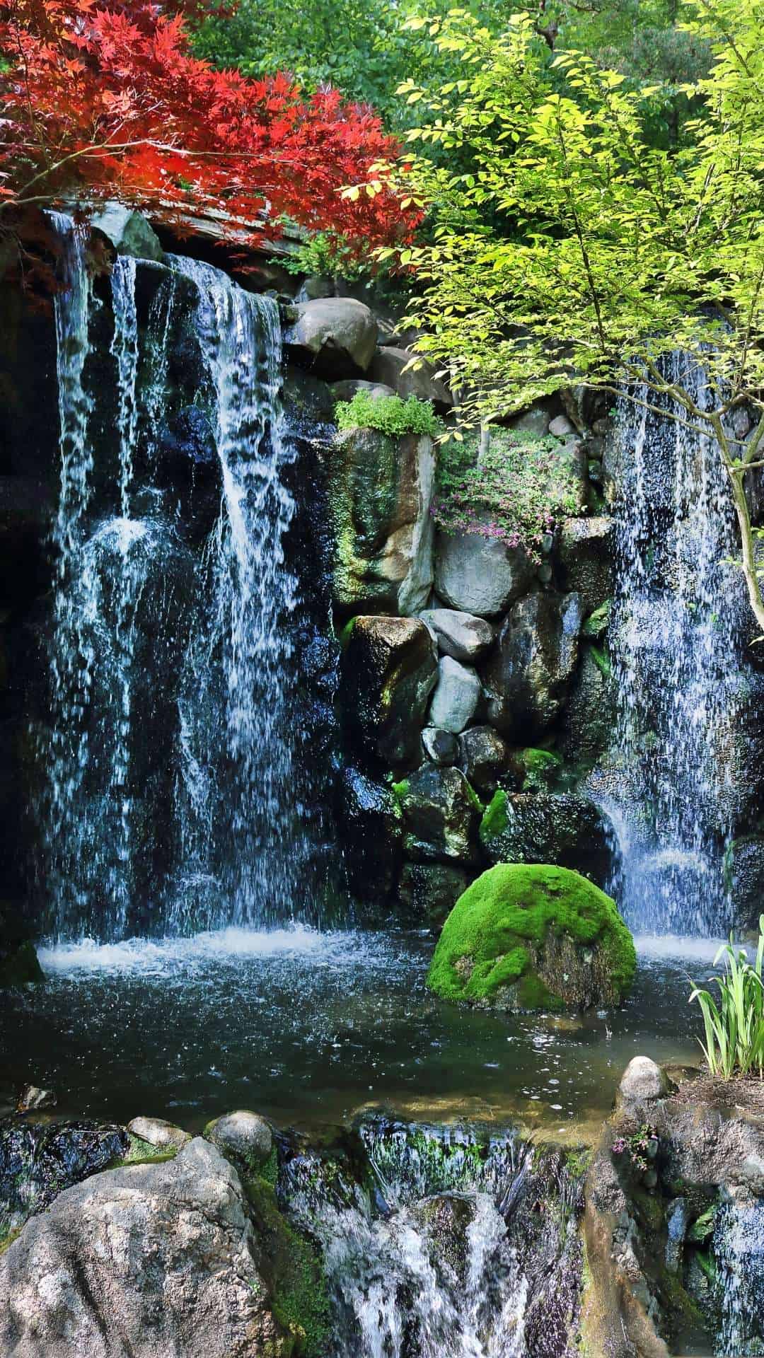 Best Things To Do In Rockford IL
