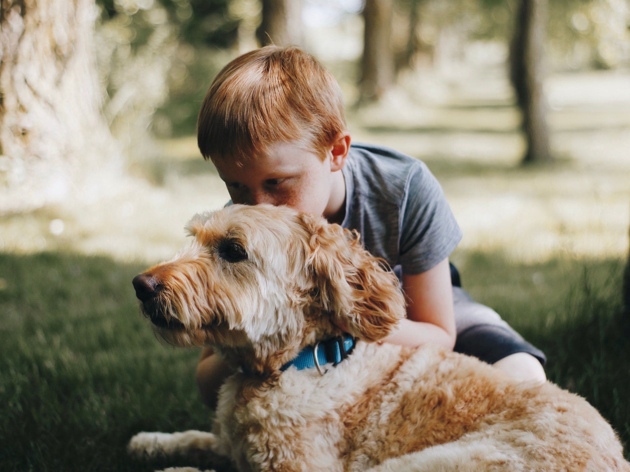 7 Best Large Dog Breeds For Kids