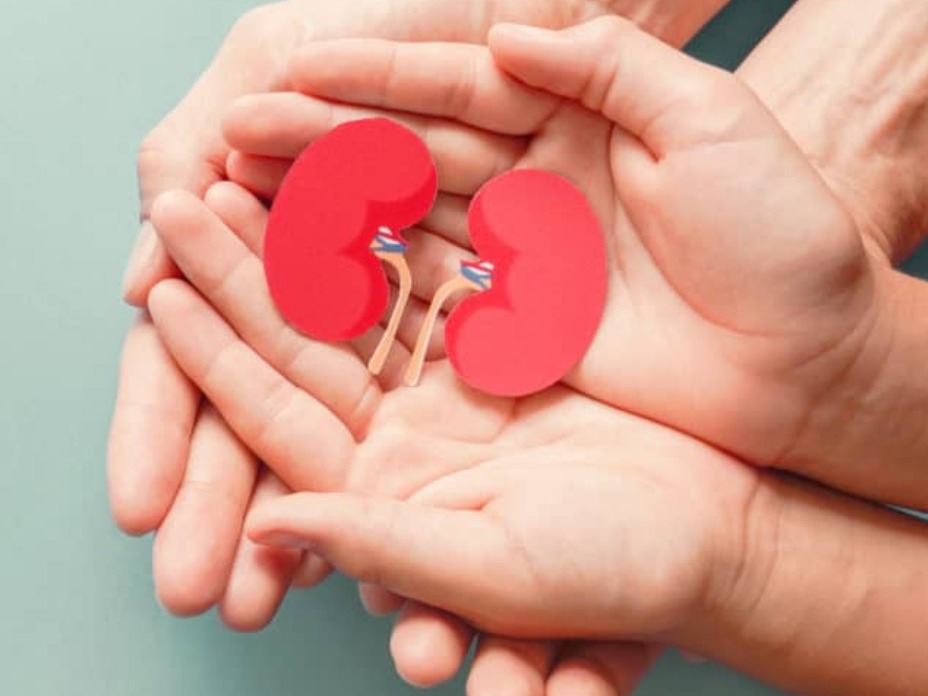 Superfoods for kidney disease