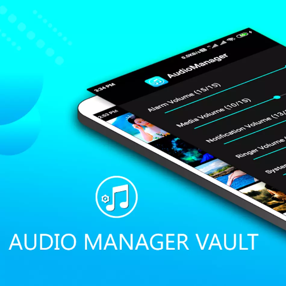 Audio Volume Manager Vault