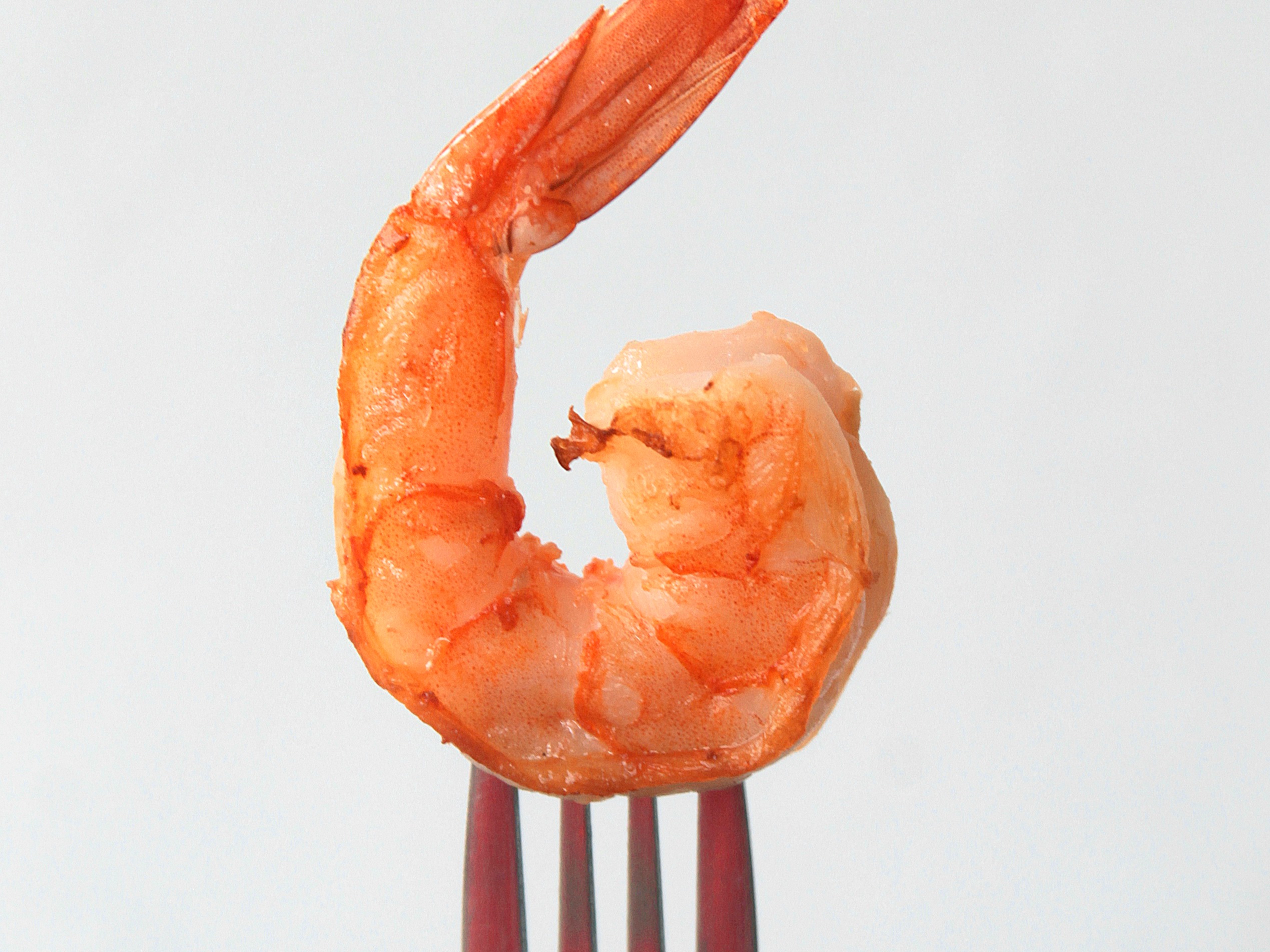 Pregnancy and fish Whats safe to eat?