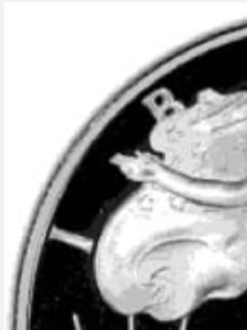 Discover the Rarest Silver Eagles