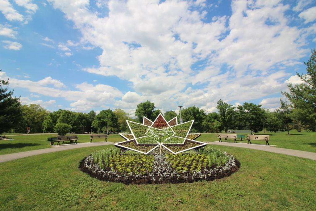 Best Parks in Toronto
