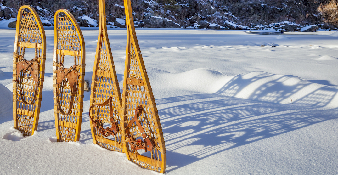 Best Snowshoeing Spots In Montreal