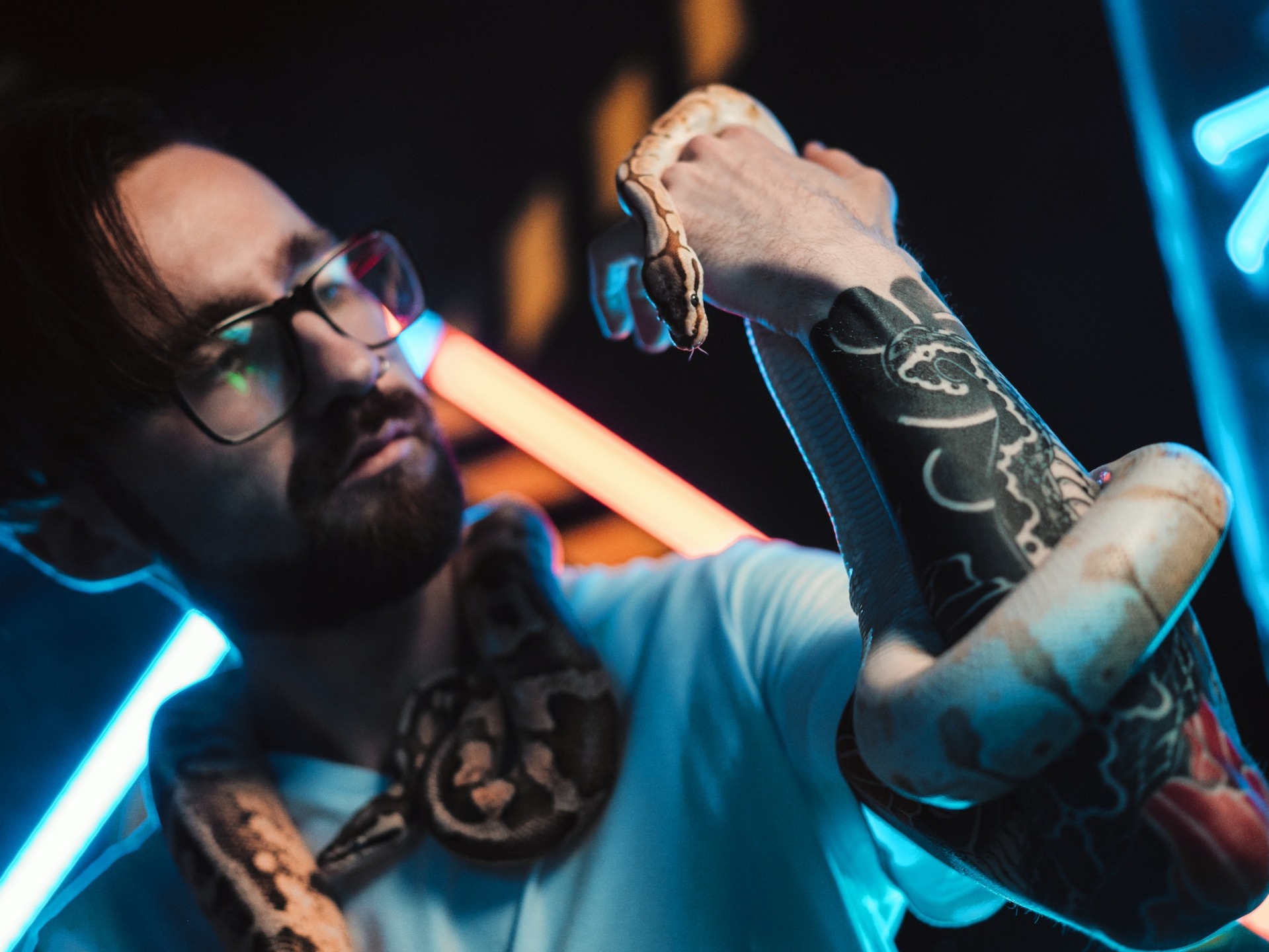 Avatar