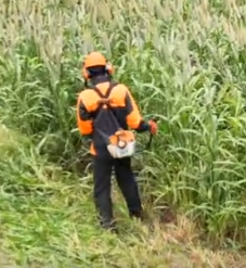 STIHL FR 230 With Cruise Control 