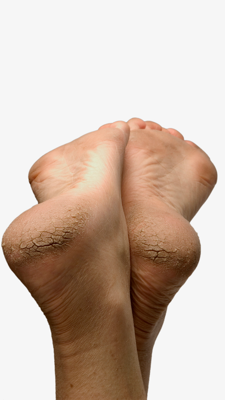1_(1)-iaynhmfhmb.jpg